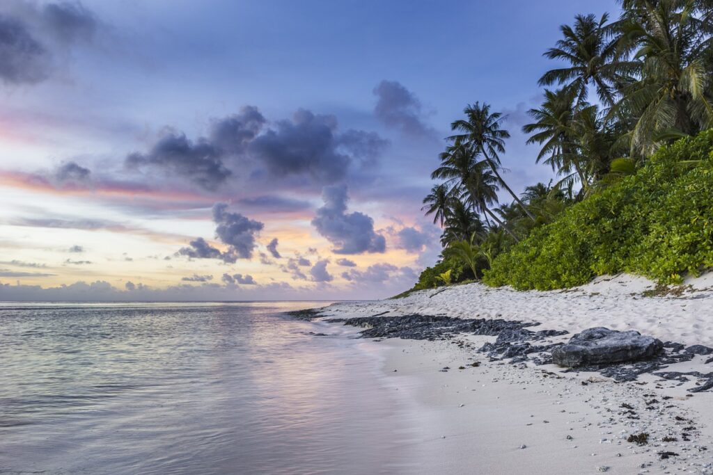beach, tropical, shoreline-1209726.jpg
